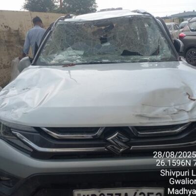 Maruti Suzuki India Ltd Brezza Smart